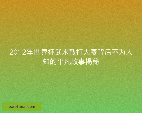 2012年世界杯武术散打大赛背后不为人知的平凡故事揭秘