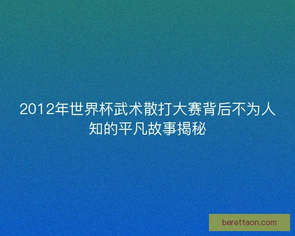 2012年世界杯武术散打大赛背后不为人知的平凡故事揭秘